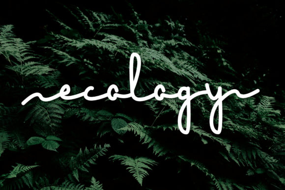 Ecology Font Review