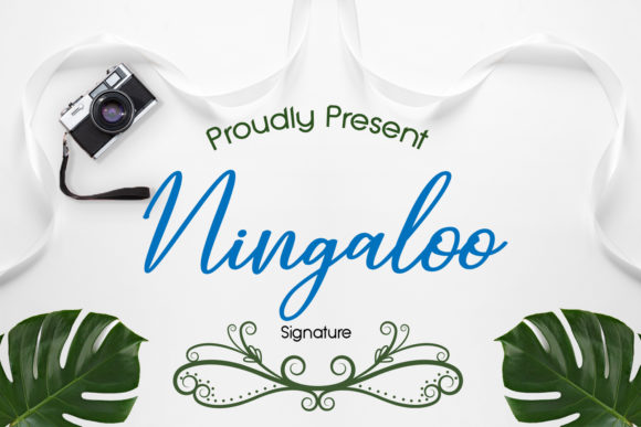 Ningaloo: A Stylish Script Font