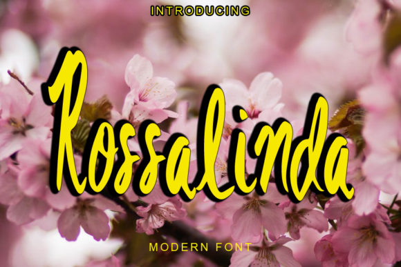 Rossalinda: A Modern Script Font