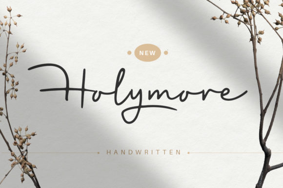 Upgrade Your Brand With Holymore